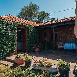 Casa Palmera Puntagorda